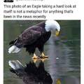 Is that another eagle