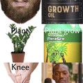 Knee grow