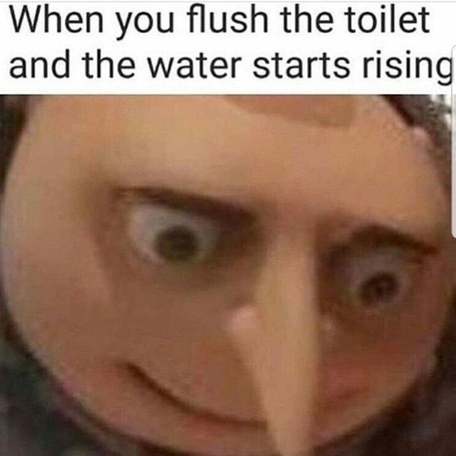 Time for a new toilet - meme