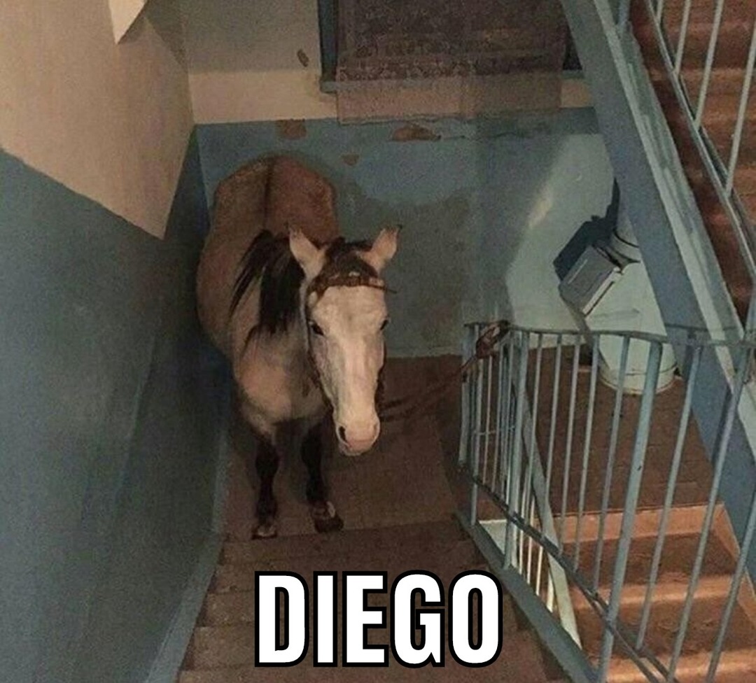 Diego - meme