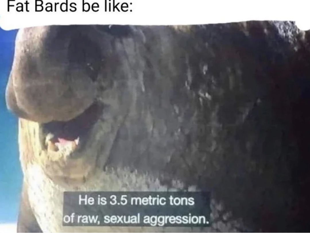 Bards - meme