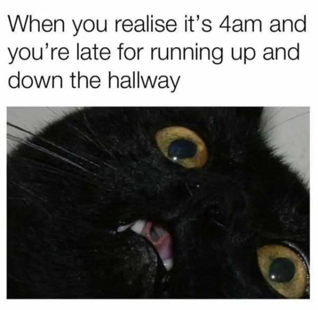 LOOK AT THE TIME - meme