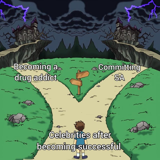 Celebrities after becoming successful - meme