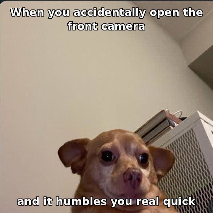 Accidentally opened the front camera and got humbled instantly - meme