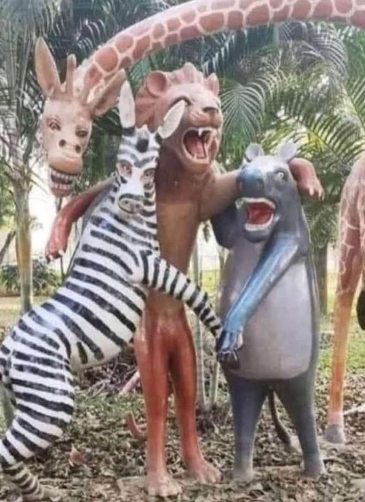 Madagascar - meme