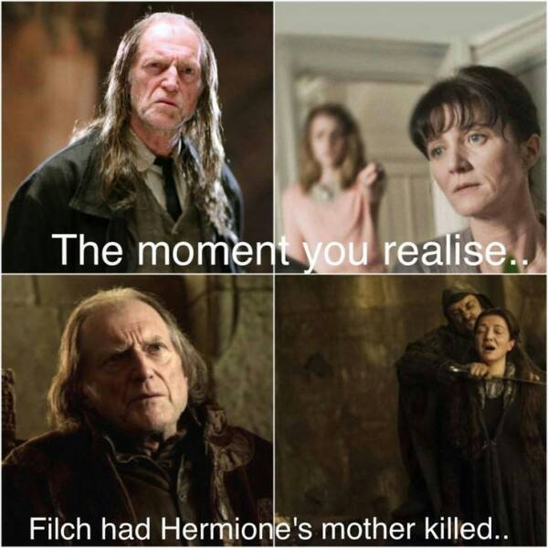 GOT and Harry Poter... - meme