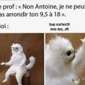 Non Antoine !