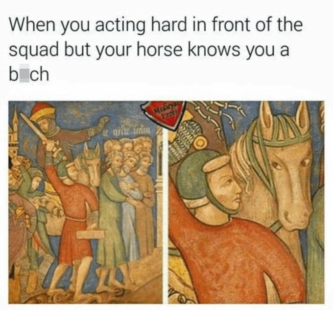 Now is not the time, horse! - meme