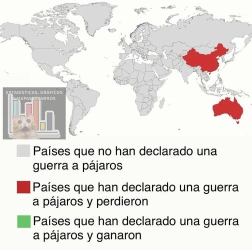 Países y su relación con los pájaros - meme