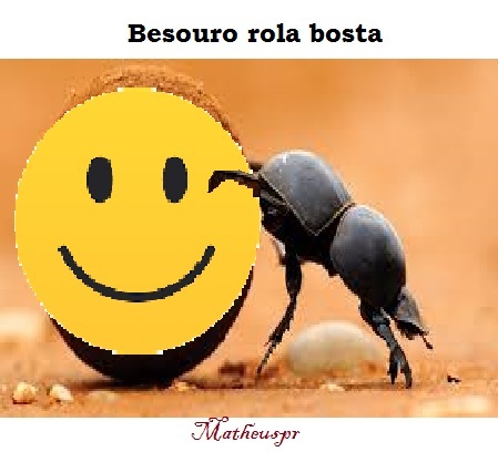 Ibosta - meme