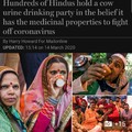 Dongs in a hindu