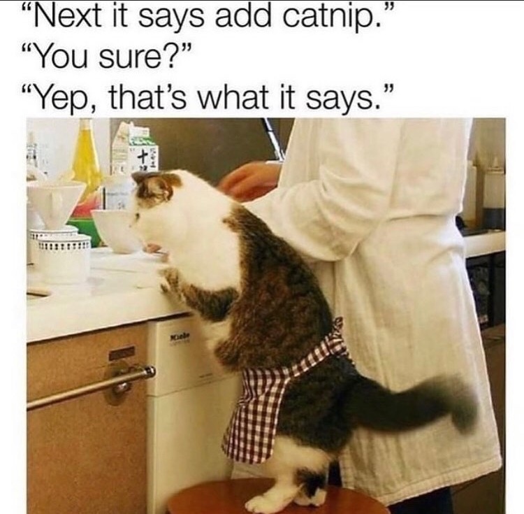 catnip brownies - meme