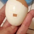 commented item thumbnail