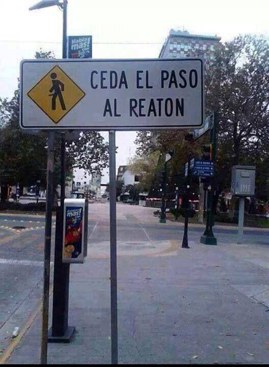 el reaton es primero - meme