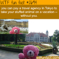 Teddy vacation