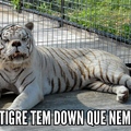 tu tem down?