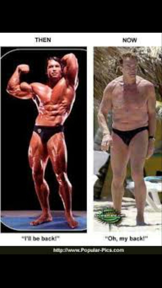 Arnold Schwarzenegger - meme