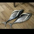 fish flops??