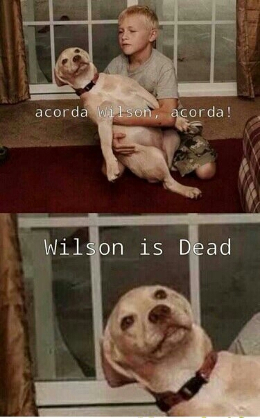 This is Wilson , he is dead - meme
