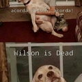 This is Wilson , he is dead