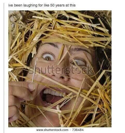 she found it! - meme