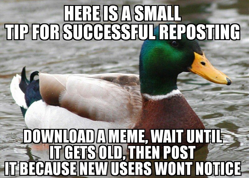 Not encouraging it but at least have some common sense you reposters - meme