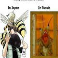 Russians wasps on crack