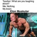 Elon Muskular