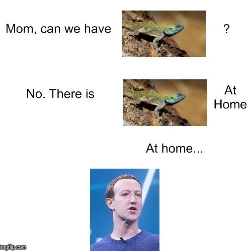 lizard people - meme