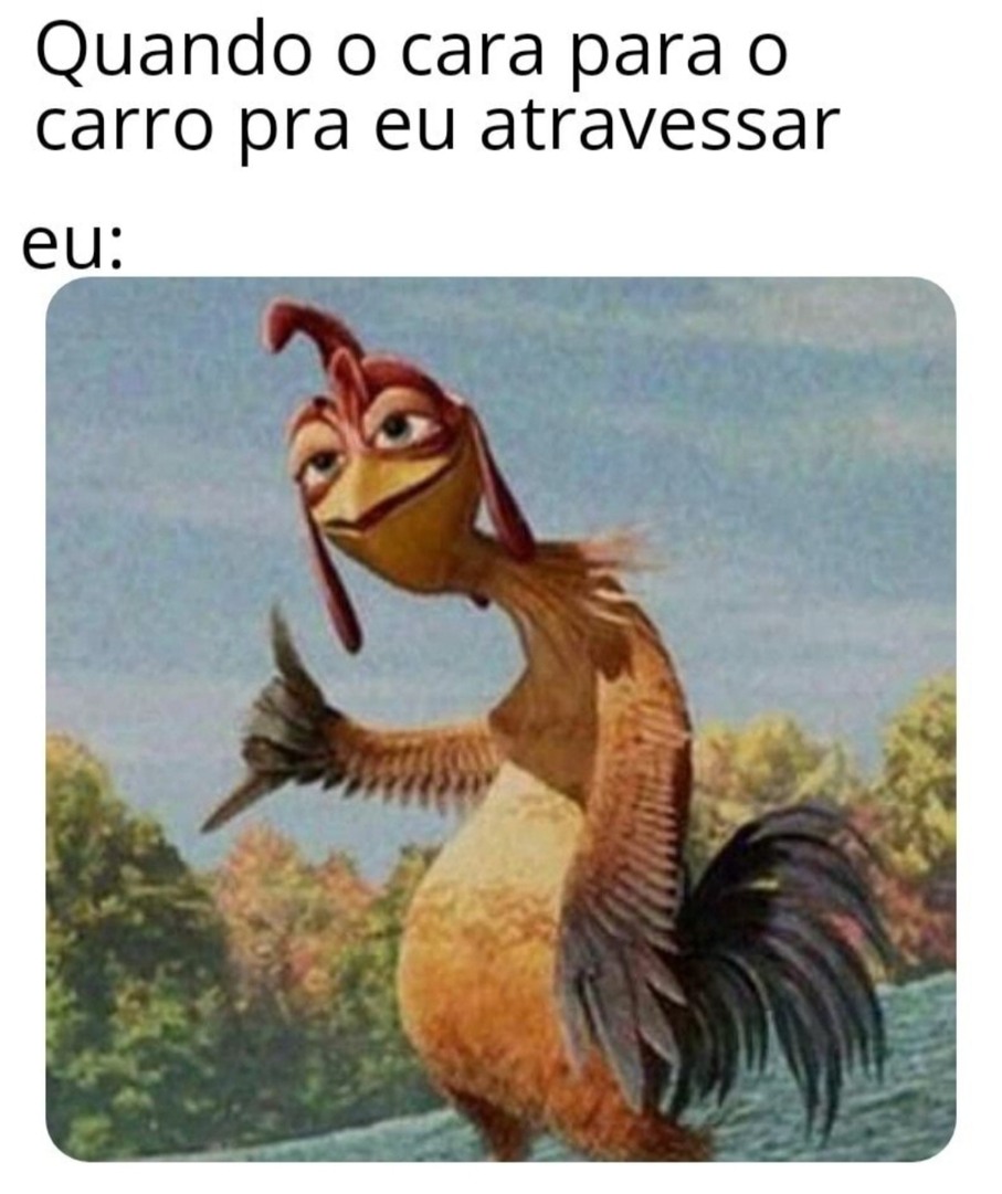 João Frango - meme