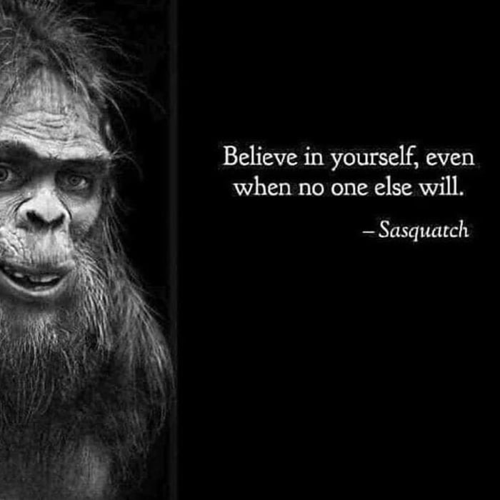 Bigfoot quote - meme
