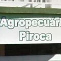 Agropecuária Piroca