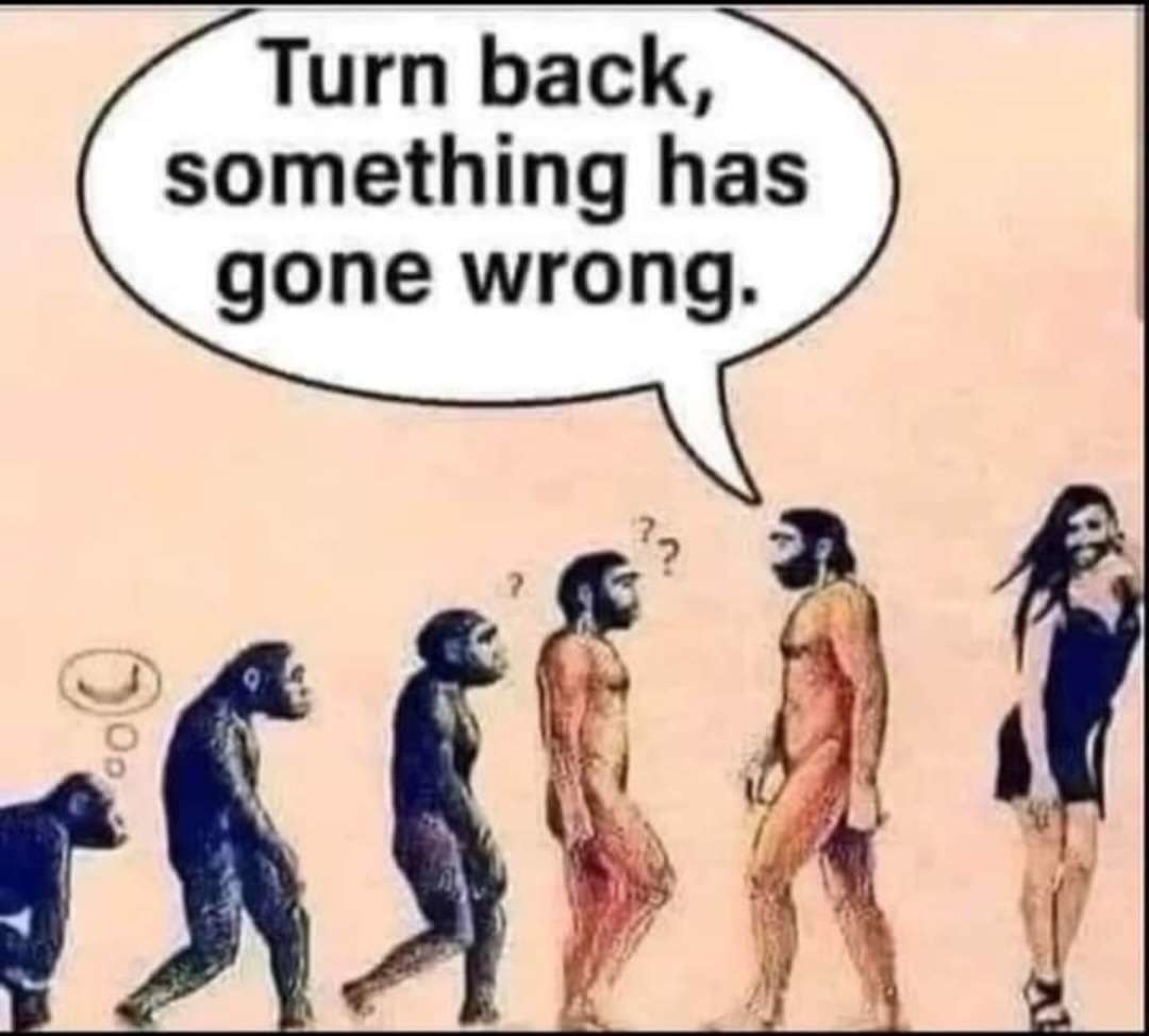 When the theory of evolution fails - meme