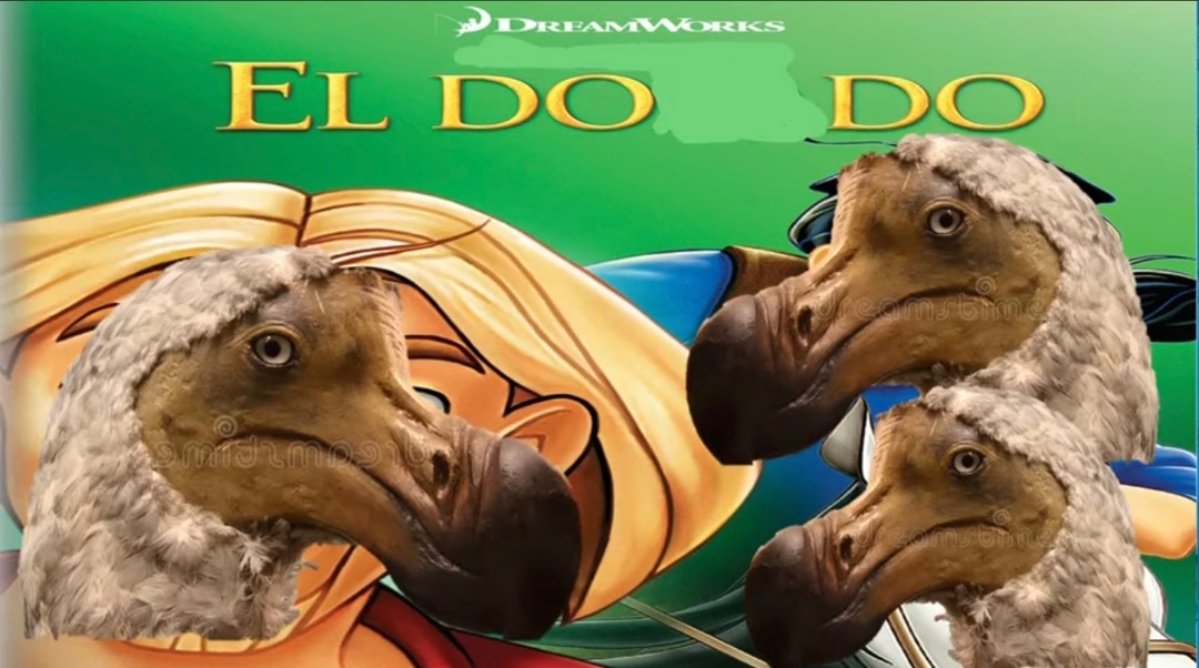 El dodo - meme