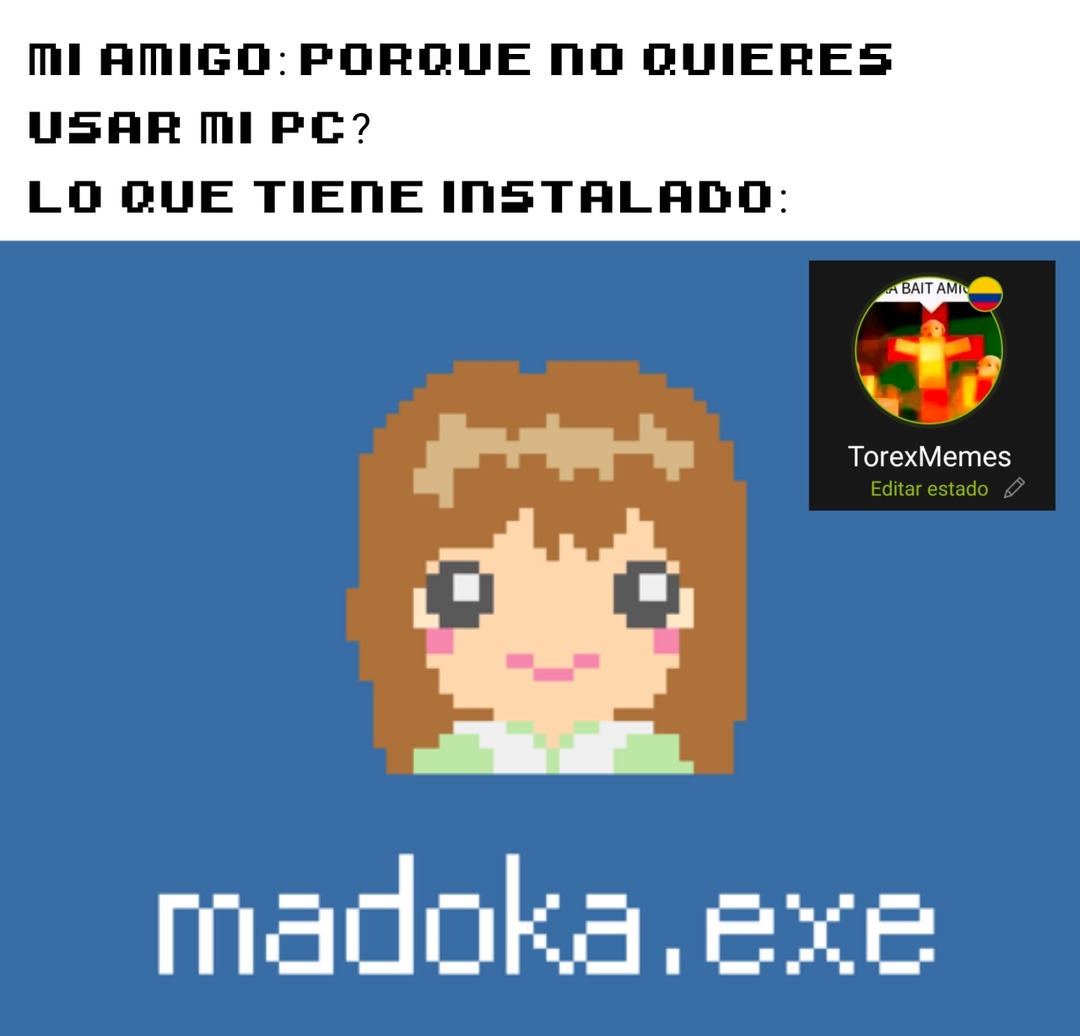Contexto: Es un puto progama de PC que cuando lo abres te aparece en chino y te salta screamers - meme