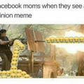 Facebook das mães quando elas vêm um miniom meme
