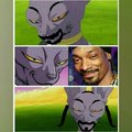 Snoop Cat? :v