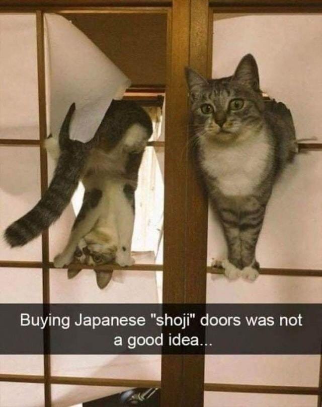 Buying Japanese shoji doors was not a good idea - meme