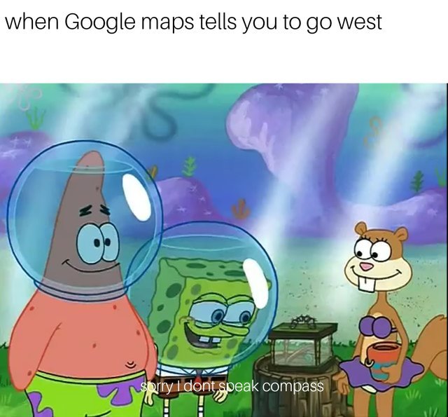 When Google maps tells you to go west - meme
