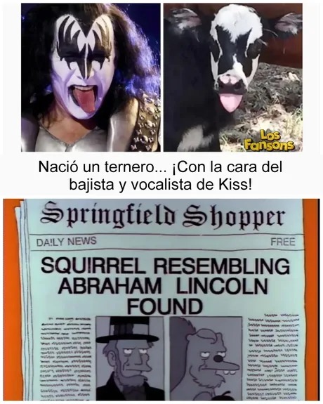 Ternero con la cara de kiss - meme