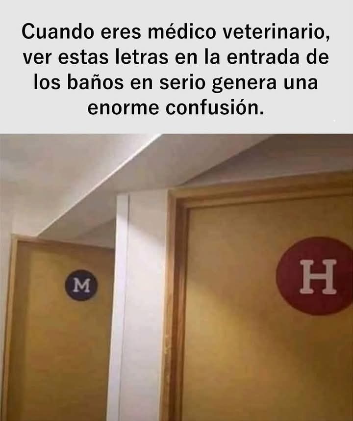 Mmm.... - meme