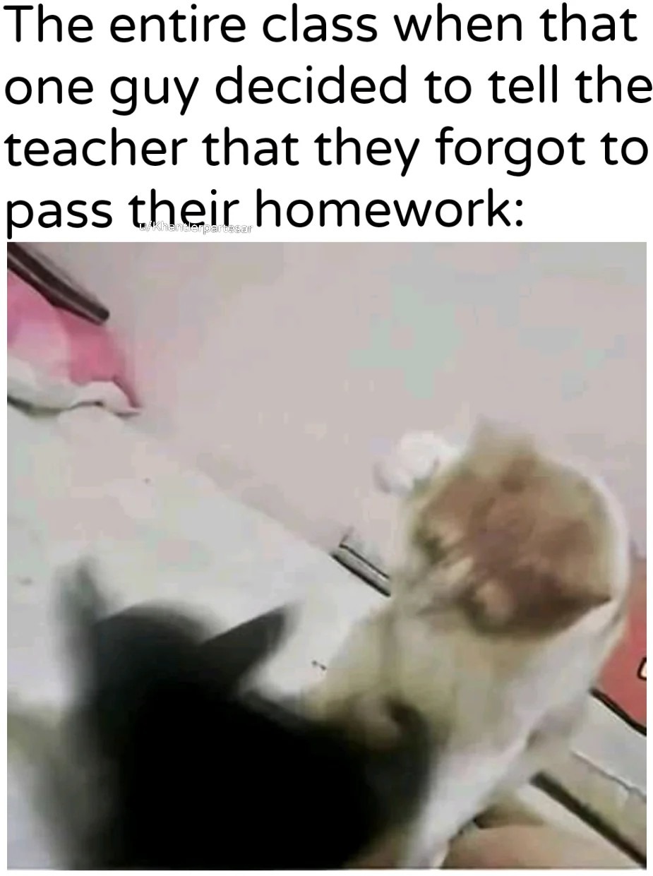 That one student ruins it for everyone - meme