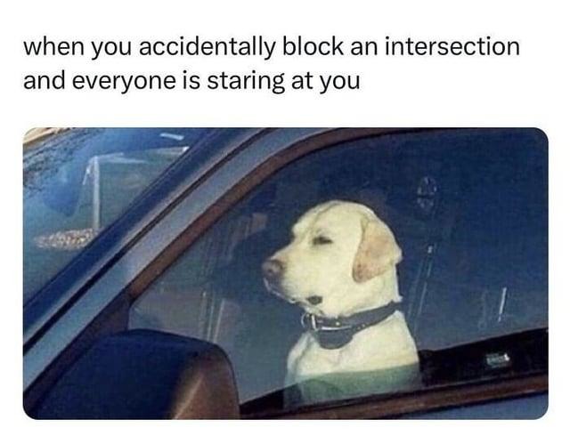 Blocking traffic and making eye contact with the void - meme