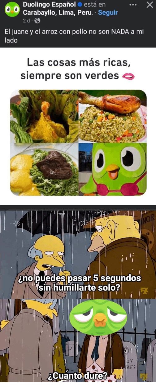 Duolingo. :annoyed: - meme