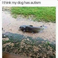 autism