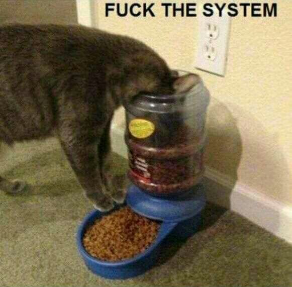 Fuck the sistem - meme