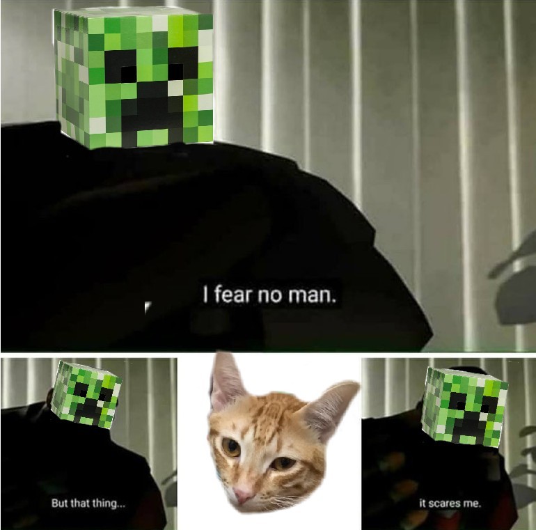 i fear cats - meme