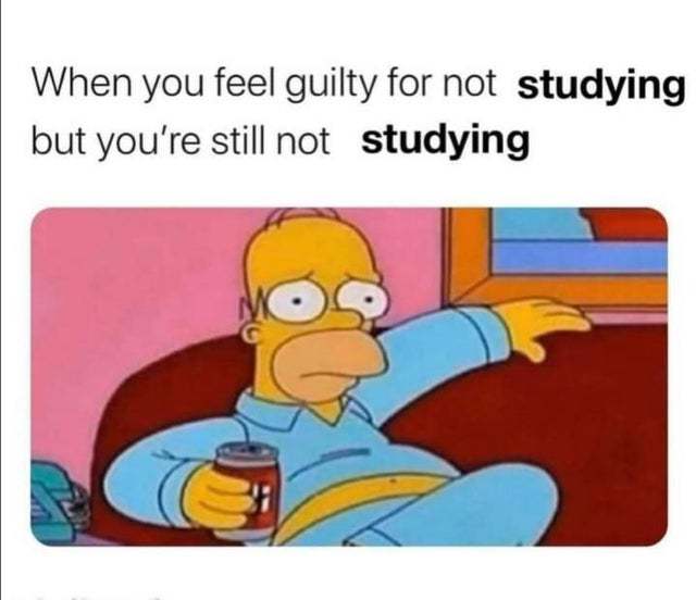 When you feel guilty for not studying but you are still not studying - meme