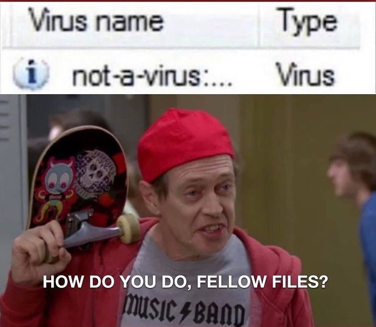 fellow files - meme