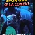 commented item thumbnail